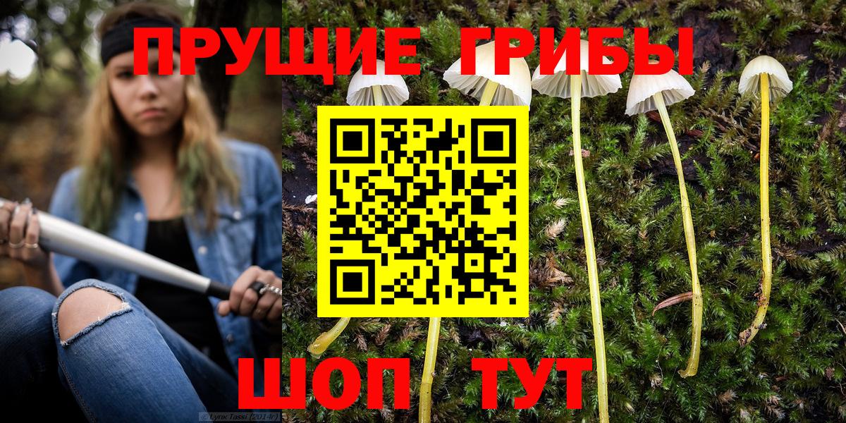 что такое наркотик  Галлюциногенные грибы Psilocybine cubensis  Вход с VPN  Галлюциногенные грибы ЛСД  Ногинск 
