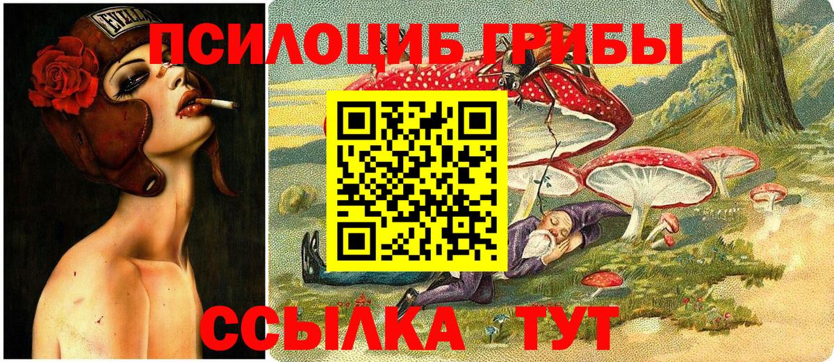 Псилоцибиновые грибы мицелий Ногинск